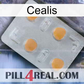 Cealis 24